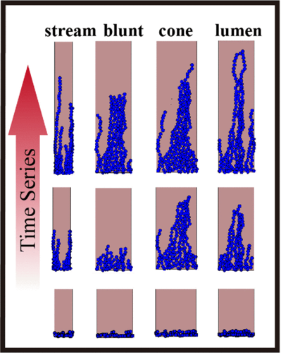 Diversity of collective migration patterns of invasive breast cancer cells emerging during microtrack invasion
